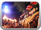Elephant festival Kerala