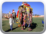 Jaipur Elephant festival