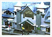 Hotel Lions, Chail
