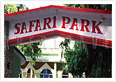 Safari Park, Corbett National Park